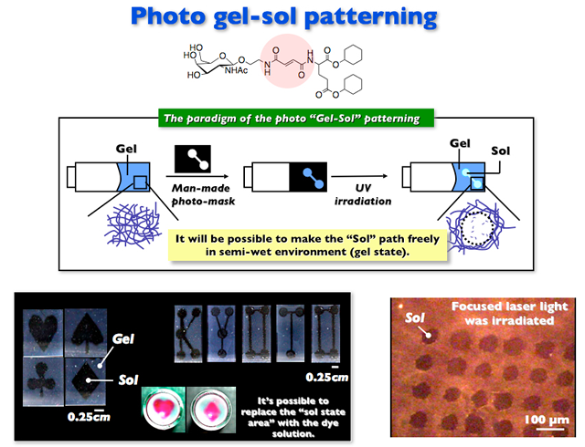 research05 - 京都大学大学院 工学研究科 合成・生物化学専攻 浜地研究室