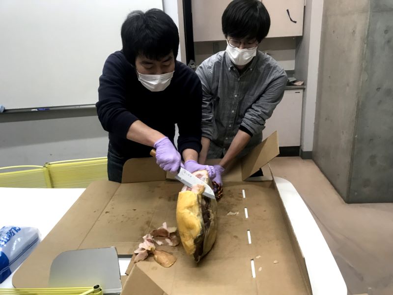 巨大な原木3.jpg