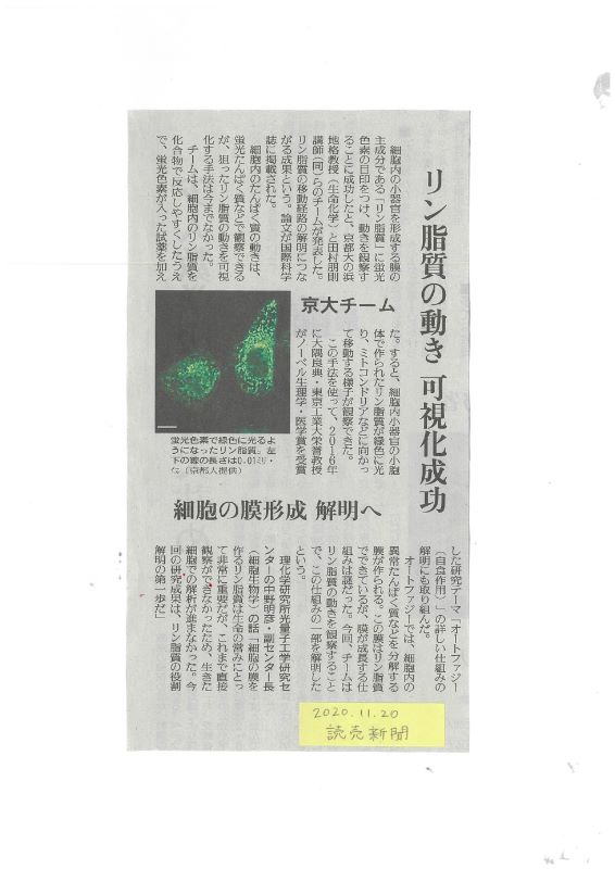 20201120読売新聞.jpg