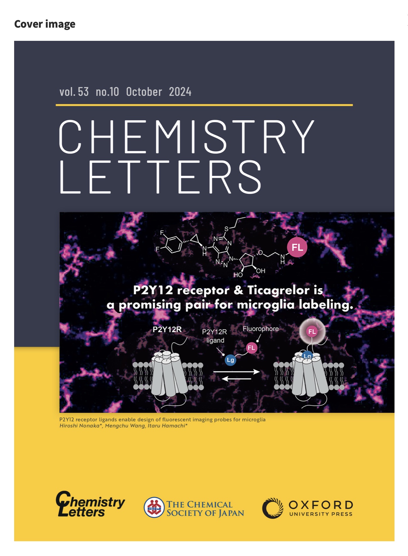 cover image.jpg
