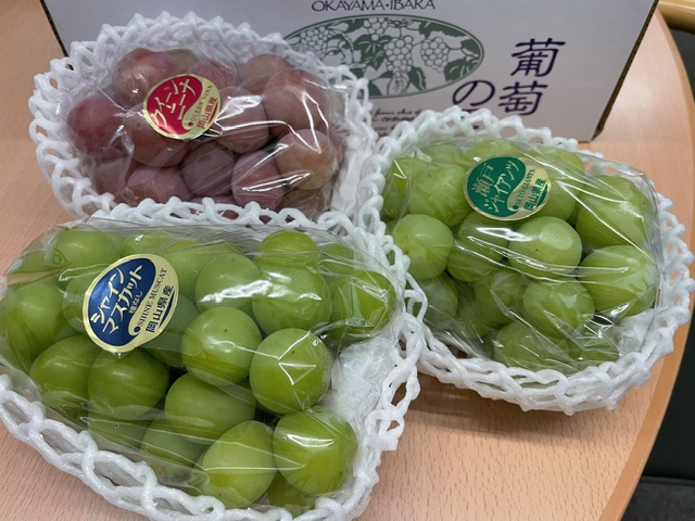 grapes1.jpeg
