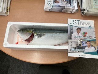 hamachi0.jpeg