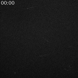toc_2020_2.gif