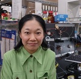 Assistant professor / Reiko Sakaguchi