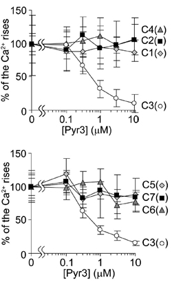 図-2　TRPCチャネルに対するPyr3の阻害効果